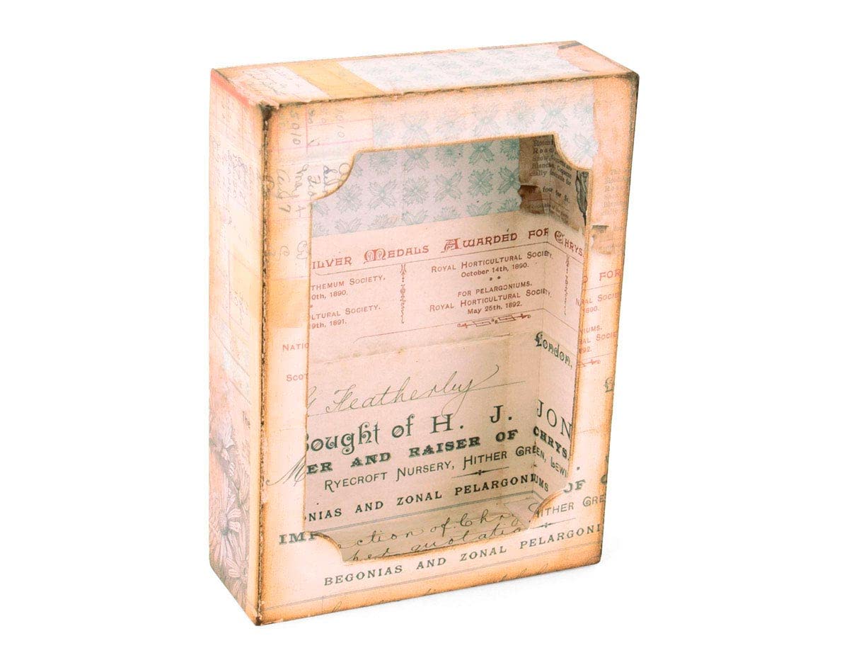 Bigz XL Die W/Framelits 664419 Curio Box by Tim Holtz