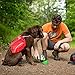 Kurgo Gourd (TM) Travel Dog Water Bottle & Dog Water Dispenser, Grass Green 4x3.5x9.5 Inch (Pack of 1)