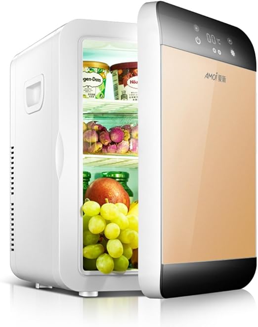refrigerator for car amazon