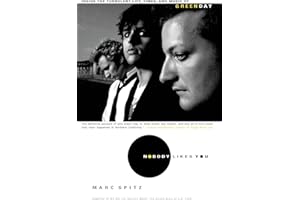 Nobody Likes You: Inside the Turbulent Life, Times, and Music of Green Day