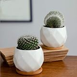 Jucoan 6 Pack Ceramic Succulent Planter Pots 10 cm White Diamond with Tray view 5
