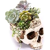 Simcat Skull Planter, Gothic Plant Pot Handcrafted Vintage Design | Skull Pots for Plants, Resin Material, Antique Distressed Design, Skeleton Decor for Home and Office, Halloween Candy Bowl
