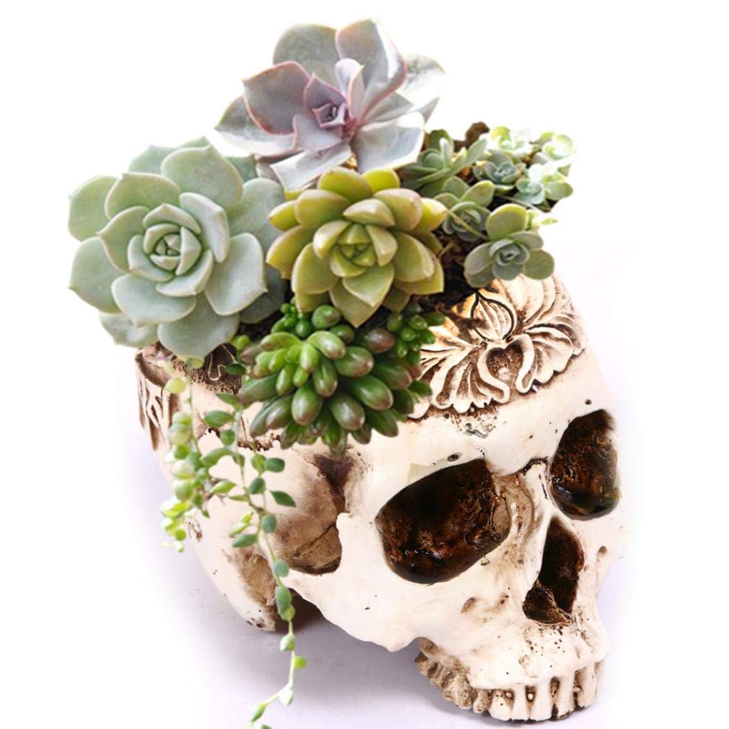 Creative Flower Pot, Resin Skull Shaped Head Design Flower Pot Planter Container Decor for Home Office Desk (A)