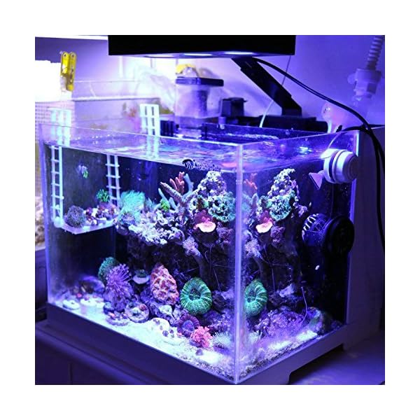 hipargero led aquarium light