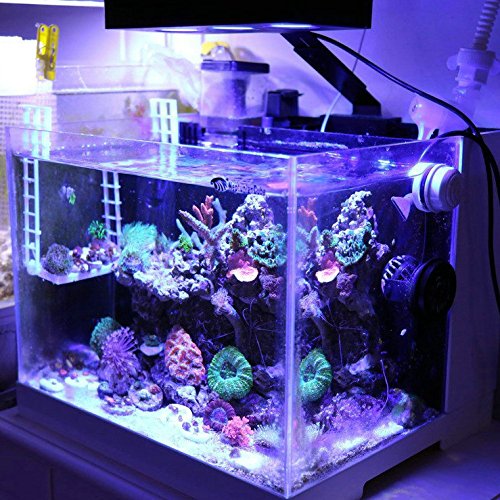 5 HIPARGERO+LED+Aquarium+Light+Saltwater