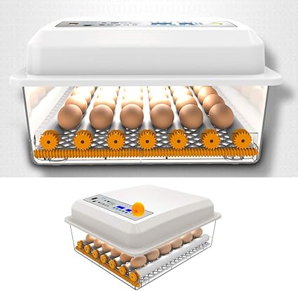 Inkubator Mit Led Temperatur Feuchtigkeitsregulierung Automatischer Eierbrutschrank Drehen Fur Eier Entenei Vogelei Truthahnei Heimgebrauch Amazon De Sport Freizeit