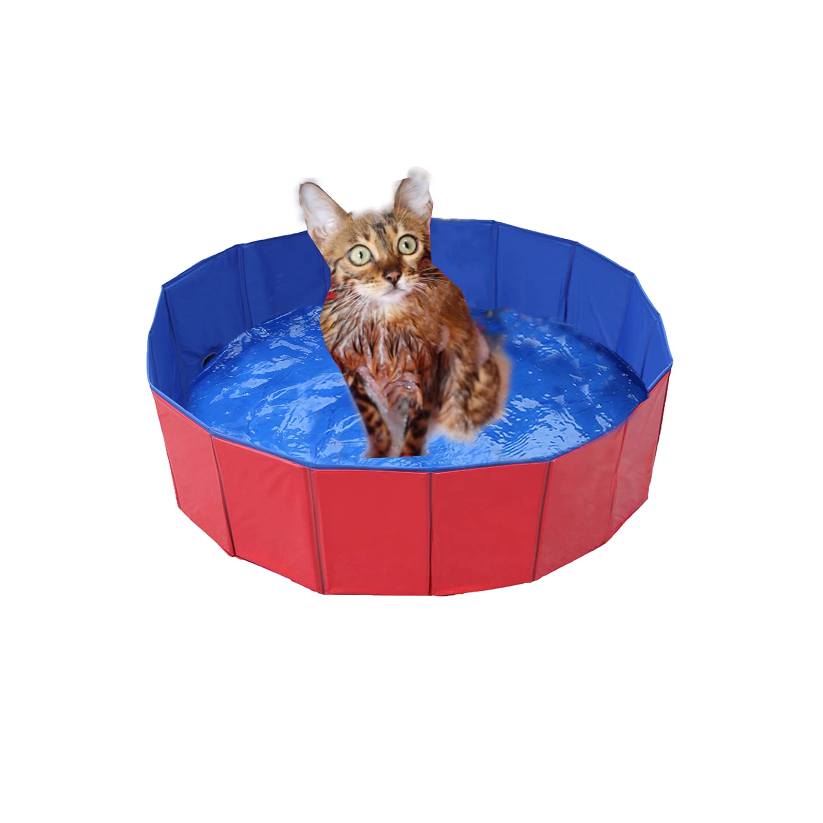 Foldable Pet Dog Cat Paddling Pool Portable Dog Bath Puppy Kitten Shower Pit PVC Bathing Tub Swimming Pool For Cat Puppy Pet (Small)