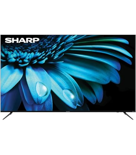 クジラ様引取 SHARP AQUOS 55インチ 4K テレビ 2022年製 クジラ様引取 SHARP AQUOS 55インチ 4K テレビ 2022年製 クジラ