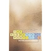 The Elementary Particles