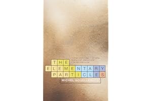 The Elementary Particles