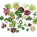 Lopkey 10 Pcs-Plastic Different Mini Succulents, Artificial Cactus Plant
