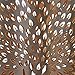 Deco 79 Metal Tree Candle Lantern, Set of 3 12