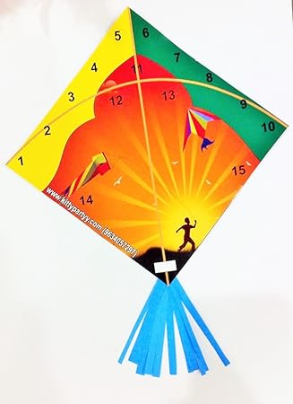 Kitty Partyy Kites Theme Tambola Tickets (Multicolour)