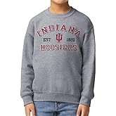 Barnesmith NCAA Unisex Youth Crewneck Sweatshirt, Vintage Logo, Color