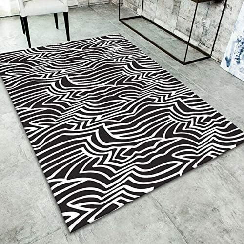 Fematte Carpet Modern Minimalist Rectangular Soft Absorbent Elastic Comfortable Breathable Living Room Bedroom Study Rug,A,200x300cm