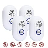 6-pack indoor light