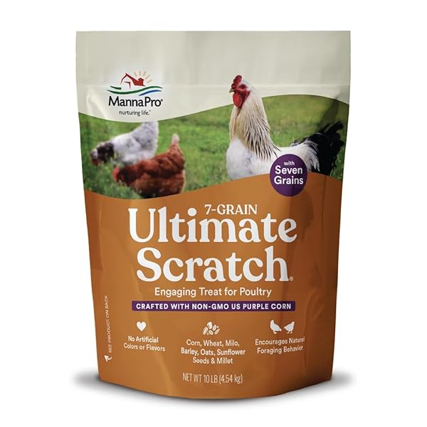 MANNA PRO 7-GRAIN ULTIMATE CHICKEN SCRATCH – SCRATCH GRAIN TREAT FOR CHICKENS AND OTHER BIRDS – NON-GMO NATURAL INGREDIENTS – 10 LBS