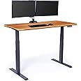 Vari Electric Standing Desk - 60x30 VariDesk, Adjustable Height Stand Up Computer Desk - Dual Motor with Memory Presets, Stable T-Style Legs- Home Office Essentials - Butcher Block