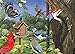 Keeping Busy Dementia Puzzles for Elderly - Large Piece Puzzles for Seniors - 35 Piece Jigsaw Birdfeeder Puzzle - Color Coded with Templates - Dementia Activities for Seniors - Easy Adult Puzzle