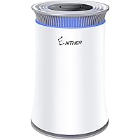Best room air purifier for smokers