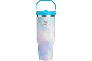 STANLEY IceFlow 2.0 Flip Straw Tumbler with Handle 30 oz | Twist On Lid and Flip Up Straw | Leakproof Water Bottle | Insulated Stainless Steel | BPA-Free | Sea Glass Plume