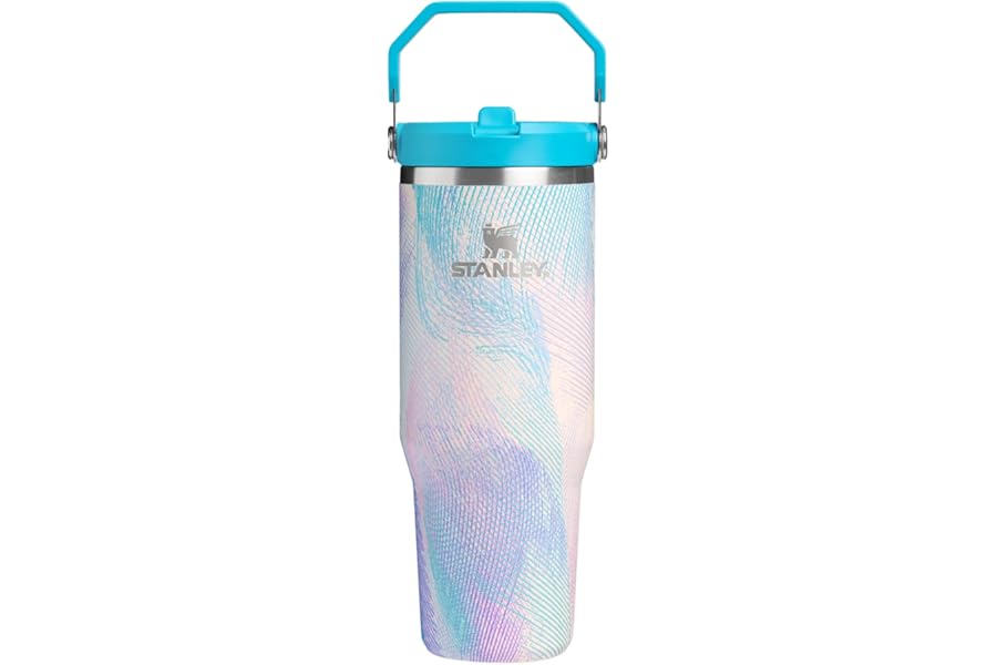 STANLEY IceFlow 2.0 Flip Straw Tumbler with Handle 30 oz | Twist On Lid and Flip Up Straw | Leakproof Water Bottle | Insulate Book
