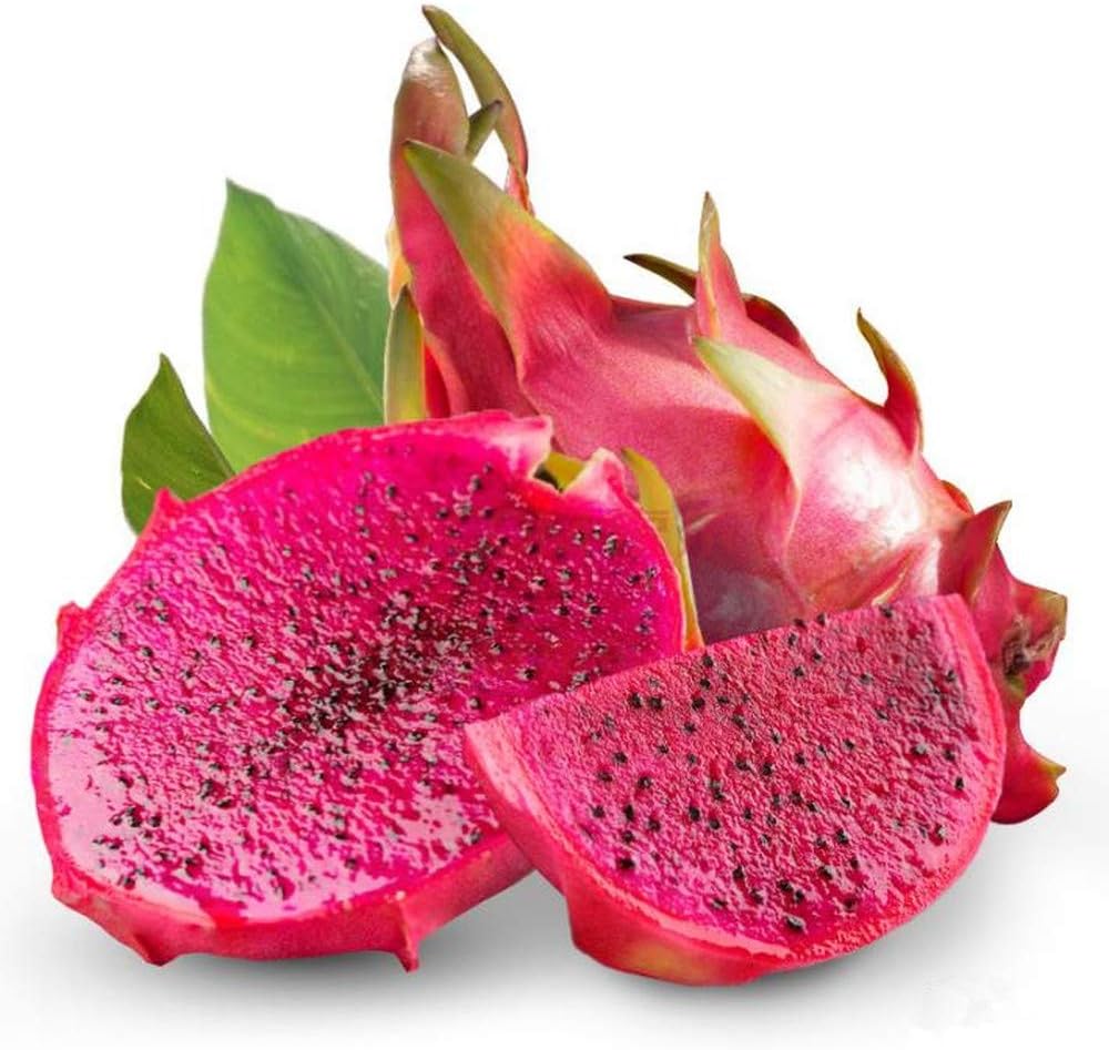30Pcs Red Dragon Fruit Seeds (Hylocereus Undatus) Perennial Sweet
