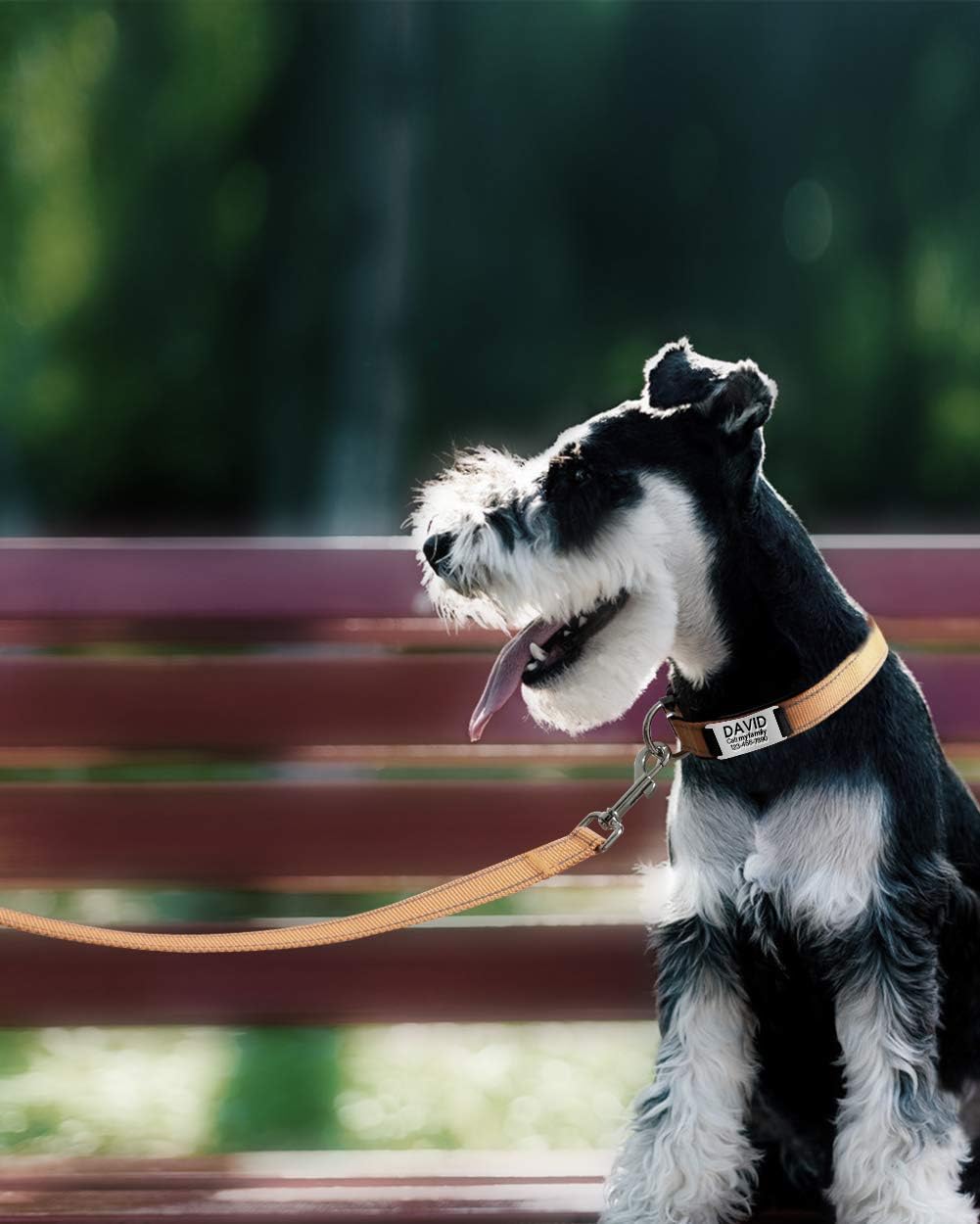 Taglory Dog Leads for Small Medium Dogs, Tan, 180x2.0 cm (Pack of 1) - Image 3