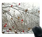 Smooffly Gaming Mouse Pad Custom,Winter Birch Trees
