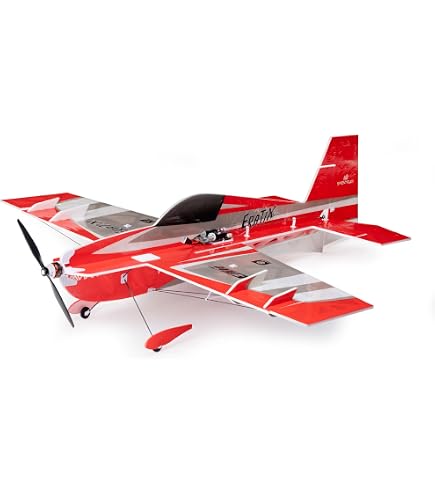 Amazon.com: DW Hobby 3D Flying Airplane YAK55 800mm Wingspan 4CH