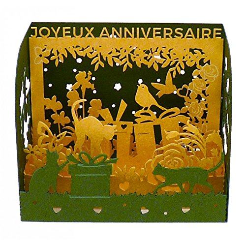 Michel Hasson Editions Joyeux Anniversaire For Animal Lovers Small Pop Up Birthday Card Animal Lover Green Buy Online In Botswana At Botswana Desertcart Com Productid