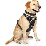 big dog no pull harness
