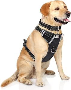 dog it harness