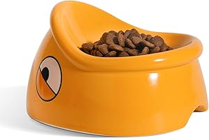 ComSaf Raised Cat Food Bowl, Tilted Elevated Cat Dish Bowl, Ceramic Slanted Pet Feeding Bowl for Cat Kitten Dog Puppy Rabbit