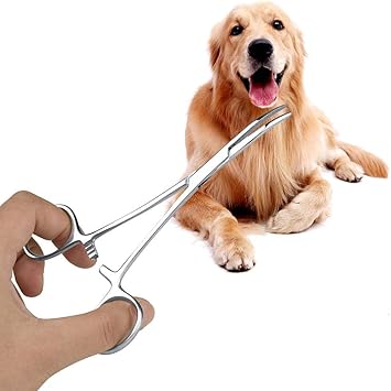 dog ear plucking forceps