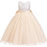 Zvzio Girl’s Sleeveless Princess Dress with deep Bow, Little Girl Dresses Tulle Skirt Perfect for Graduation Birthday