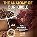 Wellness CORE+ Adult Dry Cat Food for Indoor Cats, Grain Free, Natural, Chicken, Turkey & Chicken Meal (11 Pound Bag)