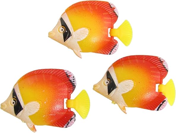 tropical fish and pet supplies