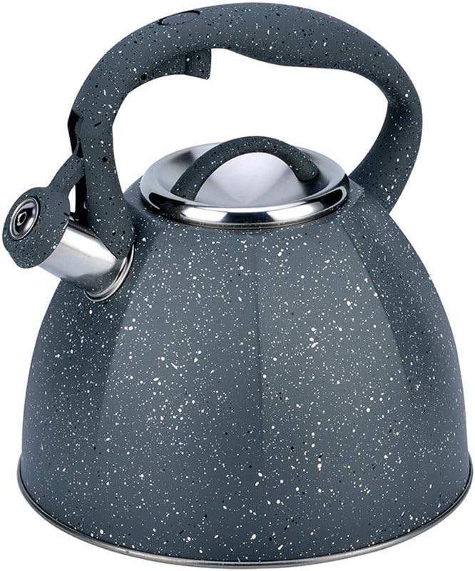 Which Is The Best Hot Water 4L Stainless Steel Non Toxic