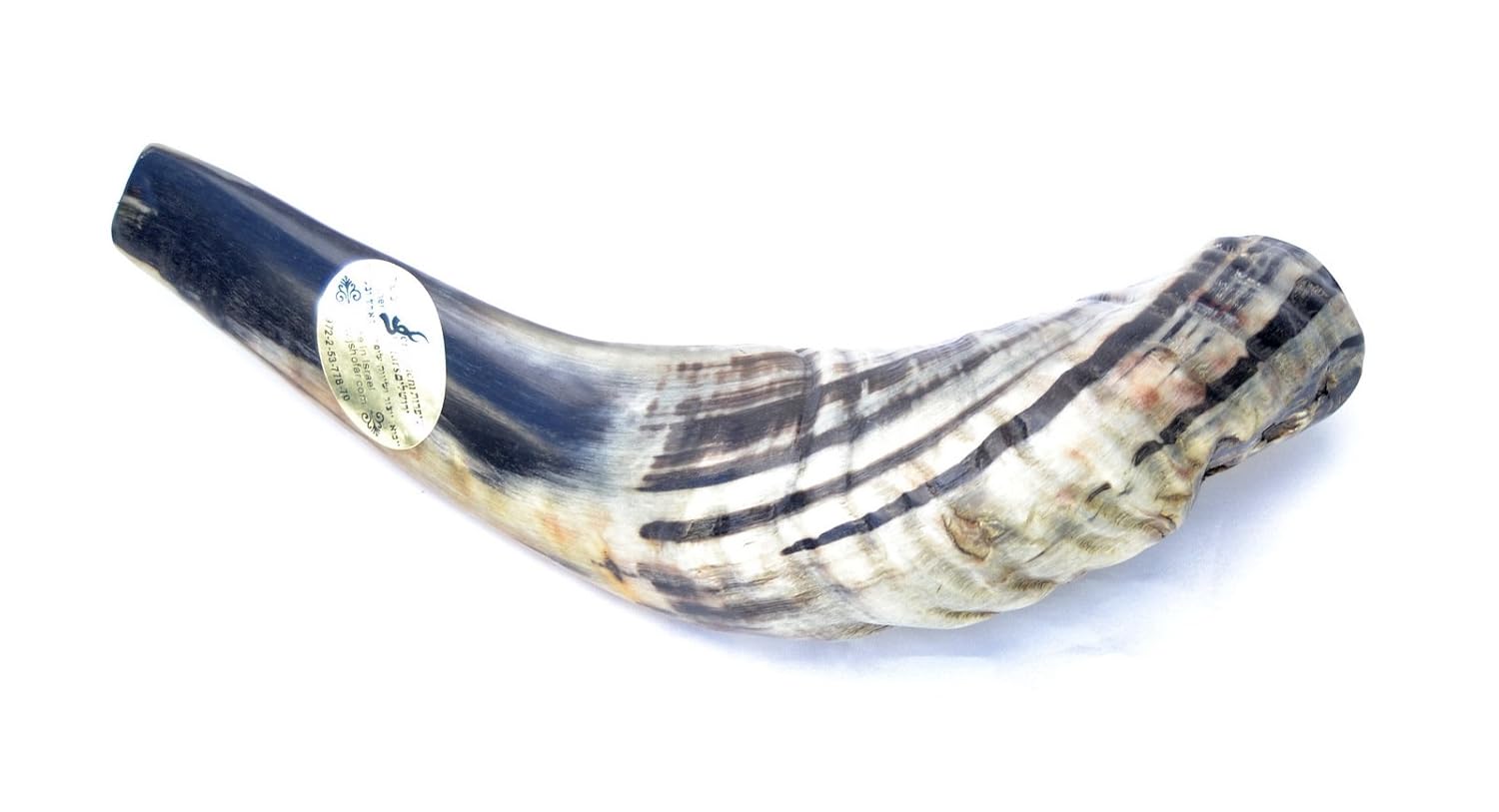 H.quality Kosher Rams Horn Shofar Made Israel 12.95" Half