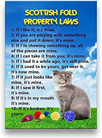 Scottish Fold Cat Property Laws Fridge Magnet No 2