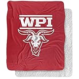 Worcester Polytechnic Institute Engineers Primary
