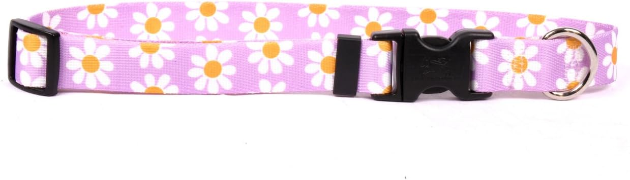 daisy puppy collar