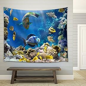 Photo of a Tropical Fish on a Coral Reef - Fabric Wall Tapestry Home Decor - 51x60 inches