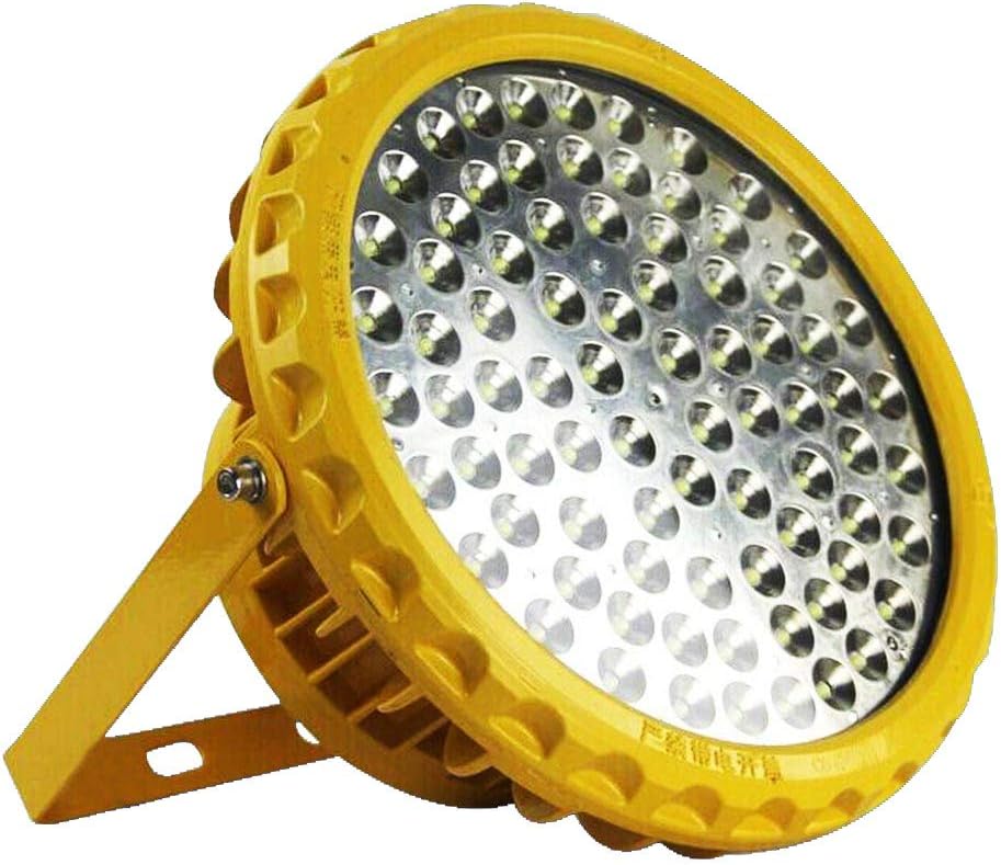 led Explosion-Proof Light high Bay, high Bay led Light with Explosion-Proof, ATEX CE ROHS LED Gas Station Light (50)