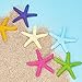 Toosunny 30 Pieces Starfish Decor, Colorful Resin Pencil Finger Starfish Decorative & Dried Starfish Ornaments for Wedding Party Christmas, Home and Crafts Project