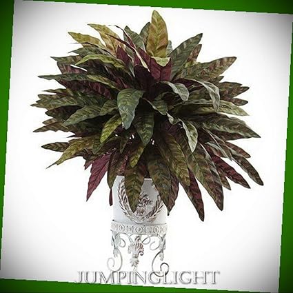 Amazon Com Jumpinglight Peacock Bush With Metal Planter