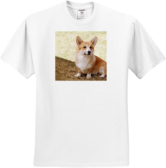 Amazon 犬corgi Pembrokeウェールズコージーtシャツ Tシャツ カットソー 通販