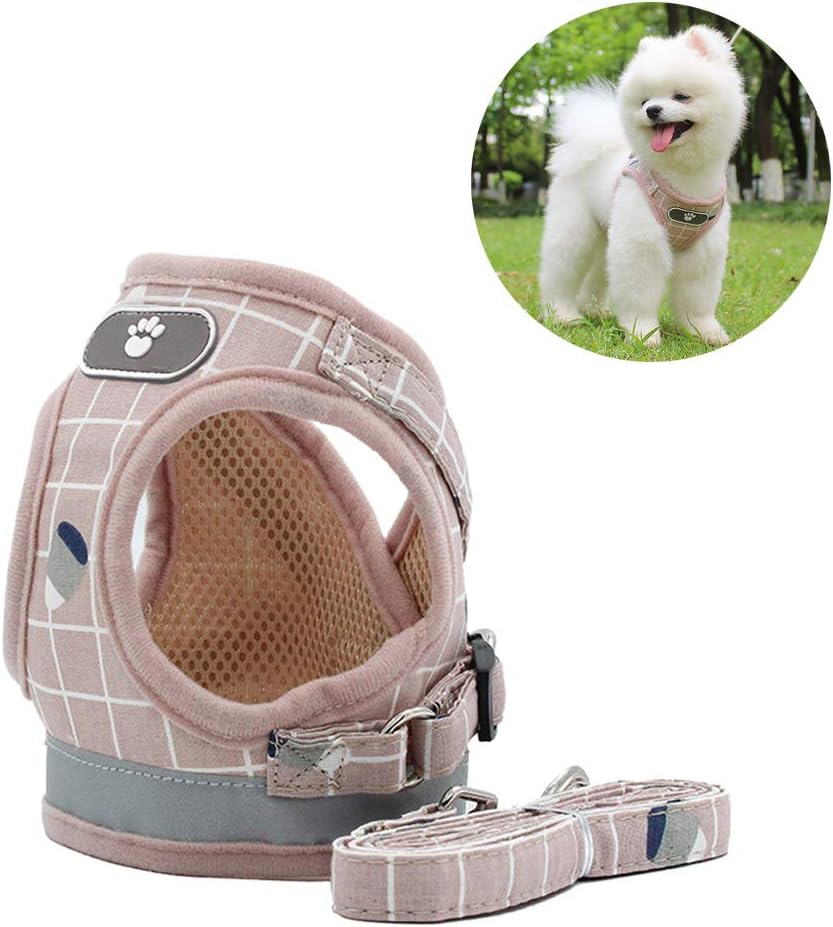 Anlitent Soft Mesh No Pull Cat Harness and Lead Set for Walking, Escape Proof Kitten Vest Harnesses for Puppy Small Animals/Cats Easy Fit Dog Collar Extra Small Under 4lbs
