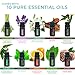 Pure Daily Care Ultimate Aromatherapy Gift Set - Ultrasonic Diffuser & Top 10 Essential Oils - 350ml Diffuser with 4 Timer & 7 Ambient Light Settings - Therapeutic Grade Essential Oils - Lavender